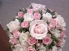 Цветочный магазин Флора-Сервис Днепропетровск: свадебные букеты, ...