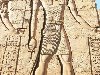 Гор. Бог древнего Египта Гор. Фото древнеегипетский бог Гор.