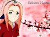 anime naruto all character sakura haruno. customize imagecreate collage