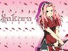 sakura haruno wallpaper naruto shippuden anime 3d
