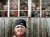 дошкольный детский дом. Апрель 2007 Кировская область дошкольный детский дом