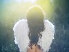 Девушка, крылья, ангел. Код для блога (HTML): Код для форума (BBcode):