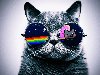 Скачать оригинал: Кот в очках Hello Kitty - 1920x1440