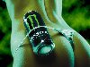 monster energy drink. Fourteen-year-old Anais Fournier downed two 24-ounce ...