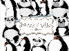 Пингвин и Панда - нарисованные животные. Клипарт без фона 12 PNG | 62 MB