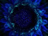 Синий цветок. Синий цветок. 1600x1200 (350,95 Kb)