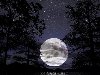 Огромная луна, скачать ночные красивые, обои на рабочий стол
