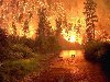 Крупный лесной пожар бушует в Тымовском районе в центральной части Сахалина, ...