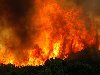 1398 Лесные пожары в Техасе. 13. Лесной пожар в городе Строун 19 апреля.