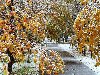 Фото / Природа / Осень / Поздняя осень