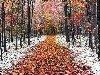 Снежная аллея обои, фото Ранняя зима, поздняя осень картинки