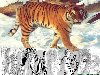 Скачать раскраски для детей тигр (Размер: 6 МБ) Depositfiles.com