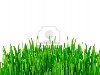Зеленая трава на белом фоне Фото со стока - 11287272