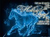 Как встретить Новый 2014 год - год синей деревянной лошади – Форум об Италии