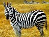 Рисунки животных Африки