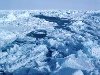 От чего зависит солёность морского льда? В составе морского льда находятся ...