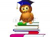 иллюстрации совы в шляпе сидит на куче книг Фото со стока - 13288176