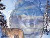 Картинки волков из мультиков