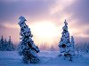 Фотографии зимы, фото зимой, фото зимних пейзажей, красивые зимние пейзажи
