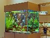 Аквариум с дискусами аквариум псевдоморе аквариум с скаляриями