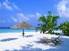  : Paradise Island - 2560x1600.   