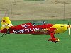 EA-200 (EA 300/200). Aerobatic Trainer. The Extra 200 is a single-engine ...