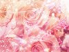 Розово-розовая абстракция с цветами Скачать обои для рабочего стола