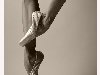 балерины | photographer:.
