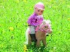 Интерактивная движущаяся лошадка для куклы BABY BORN - ПОНИ