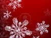 Красные рождественские снежинки фон с красивыми снежинками прозрачных ...