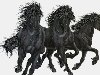 лошади - анимация u0026middot; Картинка в GIF - 162 Kb