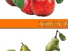 Векторные клипарты нарисованные фрукты, груша, яблоко, вишня, черешня.