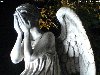 Категории: Плачущие ангелы, Классные картинки