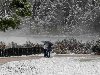 Ранняя зима в Европе - в Австрии неожиданно выпал снег
