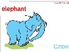 Elephant - , -     , ...