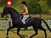 u0026gt;u0026gt;СКАЧАТЬ Sims 3 Лошадь (от X-tina) с ...