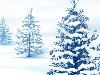 зима, Елка, новый год, снег, рисунок. Код для блога (HTML):