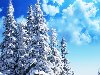 снежные елки u0026middot; снежные горы