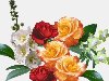 Цветочный сборник, сделанный с большой любовью. цветы