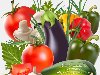 Продукты, фрукты, овощи и ягоды в векторе и PNG / Высококачественные ...