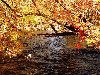 Осень - Золотая пора 2