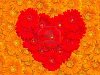 Цветочный фон с герберами и сердца Фото со стока - 12505985
