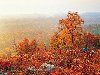 Золотая осень. (20 фото) | ФотоИнтерес