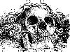 Grunge skull |  .