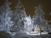 art,красивые рисунки и картины,зима,снег,деревья,ночь