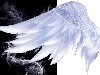 Рубрика: Полезняшки | Метки: beautiful wing, красивые крылья, крылья ангела, ...