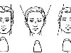Различают три типа лица: квадратное, коническое и овальное.