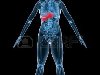 x-ray anatomy - highlighted liver Фото со стока - 2846205