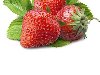 Карточки фрукты ягоды для детей u0026middot; Вы можете скачать бесплатно развивающие ...