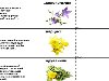deizi2009 — «Цветы - 3. Загадки для детей с картинками.jpg» на Яндекс.Фотках